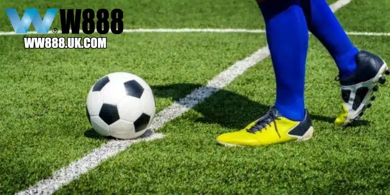 Chiến lược hội viên cần biết khi cá cược thể thao