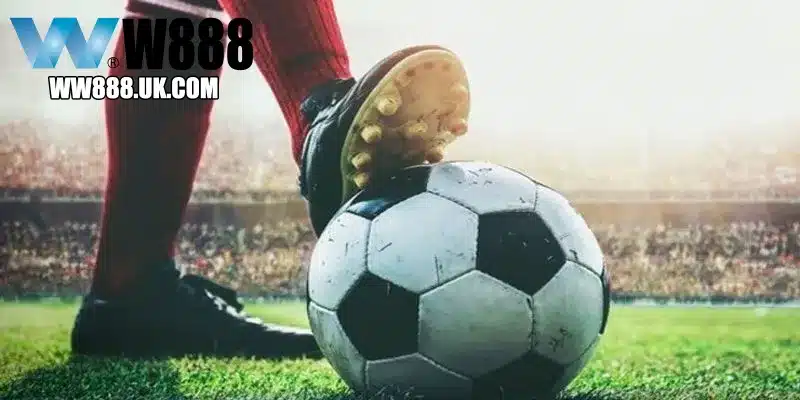 Sai lầm phổ biến khi hội viên tham gia cá cược thể thao