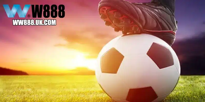 Ưu điểm của cách soi kèo bóng đá từ các chuyên gia W88