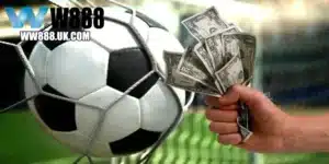 Cách soi kèo bóng đá từ các chuyên gia W88