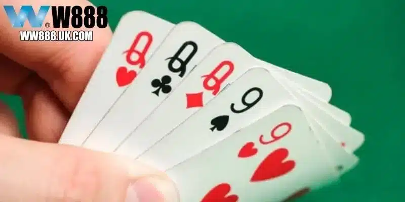Cù Lũ Trong Poker