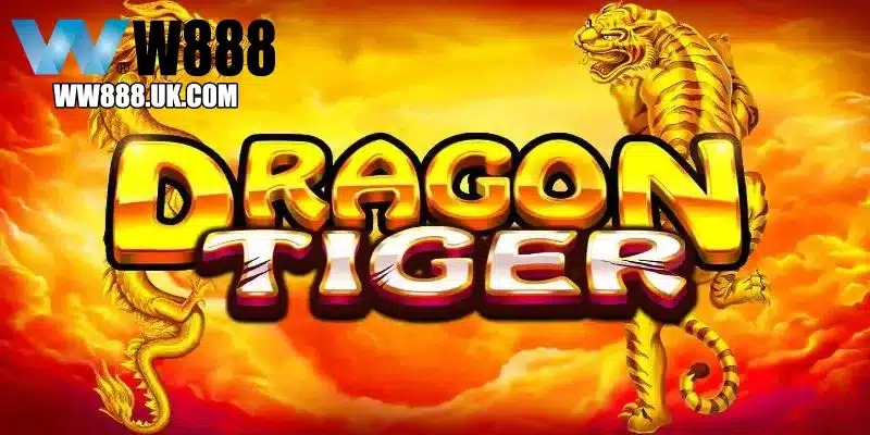 Chiến lược chơi rồng hổ từ cao thủ giúp thắng lớn