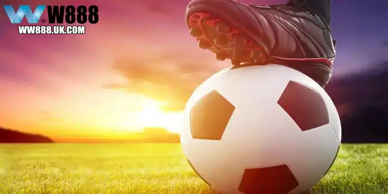 Các loại kèo châu Á phổ biến nhất tại W88