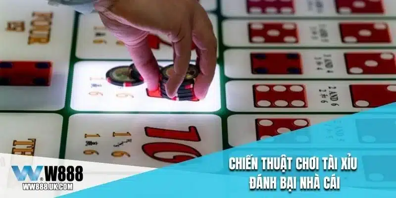 Chiến thuật chơi tài xỉu đánh bại nhà cái